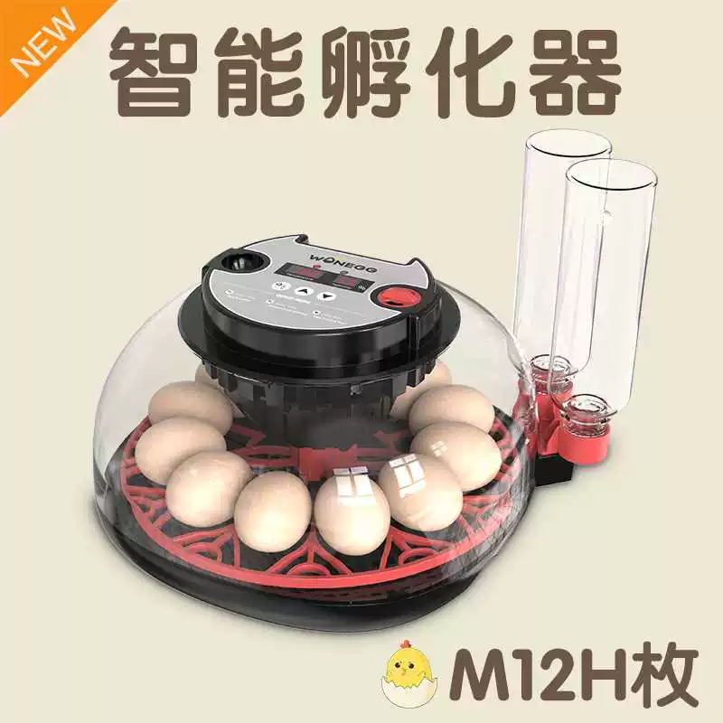 [跨境全自动宠物家用小型孵蛋器孵化器智能养殖专用设备鹦鹉芦丁鸡]