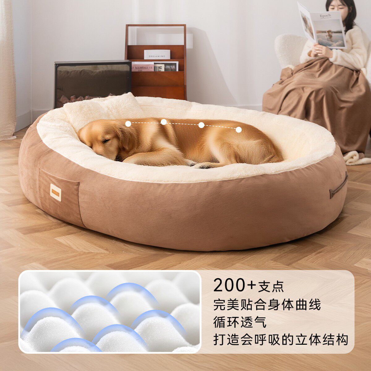 狗的前腿解剖骨骼——图库图片© decade3d #71346927, image size:1200x1200