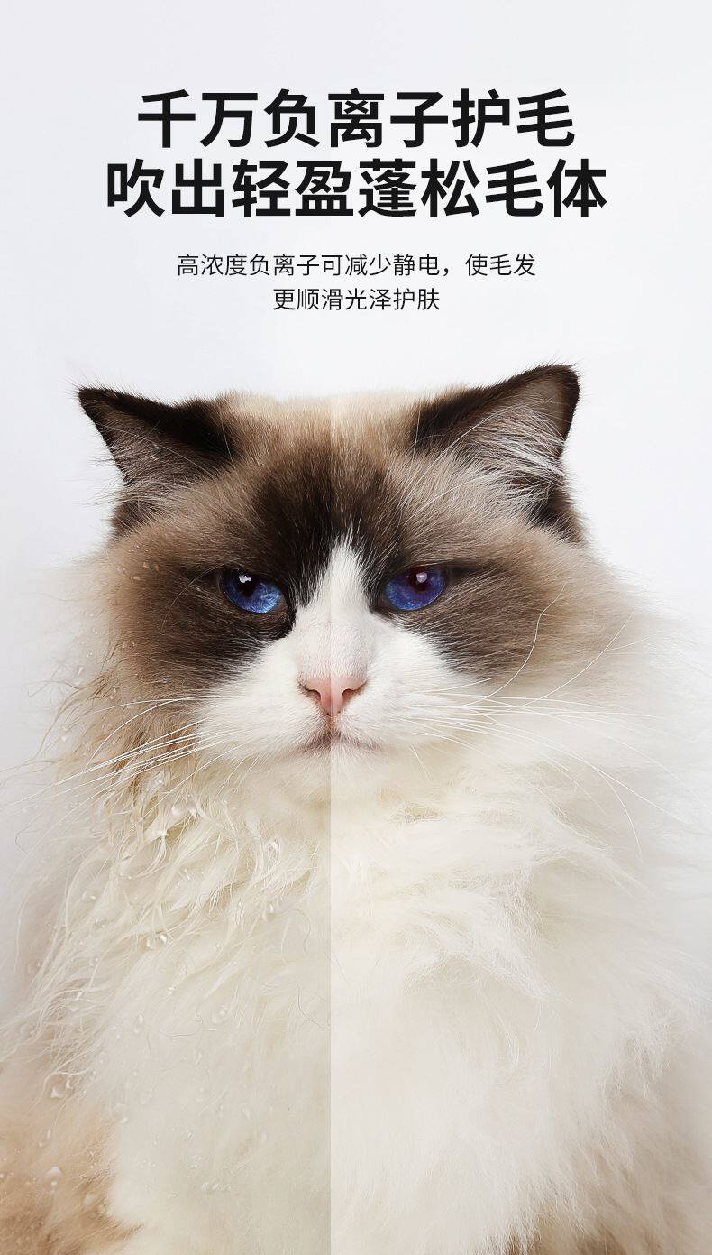 ПЭТ сушильный элемент 霍曼猫咪吹毛烘干机宠物专用烘干箱便携式智能猫狗烘干机小型家用