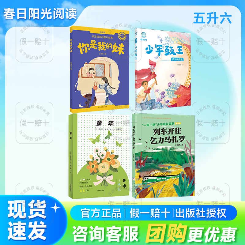 2026 Summer Sunlight Reading Series for Fifth and Sixth Graders, Four-Book Set: You Are My Sister, Deep Brotherhood Stories from Childhood, Teenage Drum King, Ode to Courage, Childhood Suffering and Growth, Train to Kilimanjaro, One Belt One Road