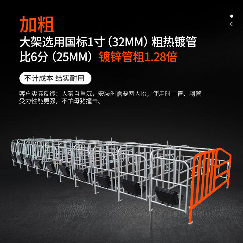 母猪定位栏热镀2.5复合板限位栏：5位 vs 10位，哪种更适合你的养猪场？