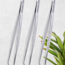 Stainless steel tweezers round elbow extended aquatic grass dressing Niezi gardening planting succulent tool repair clip