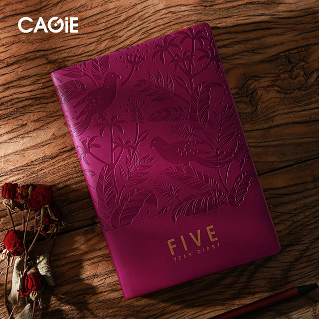 New five-year unlimited plan diary notebook notepad cross-border stationery factory logo