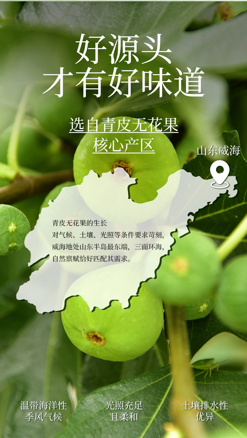 【中國直郵】 牧果人 青皮無花果乾 80g/袋 山東威海特產果蔬蜜餞 孕婦可吃 天然黃體酮 養宮護巢