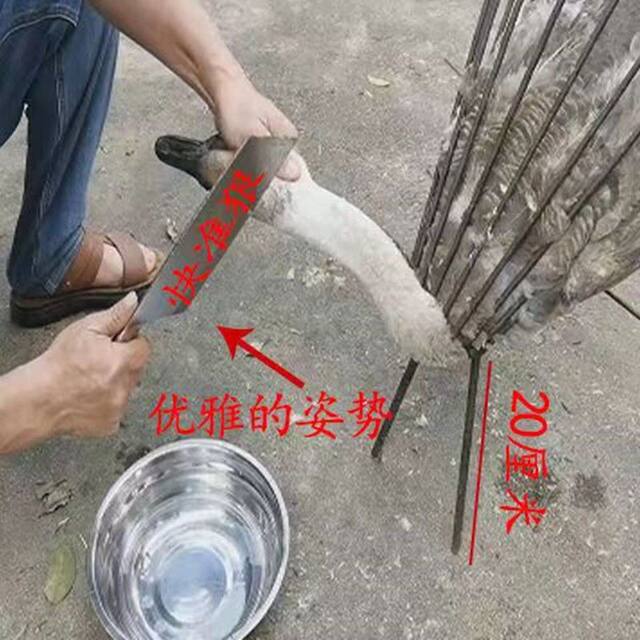 Chicken Slaughtering Tool, Stainless Steel Chicken Slaughtering Tool, Chicken Bloodletting Cone, Equipment for Slaughtering Chickens, Geese, and Ducks