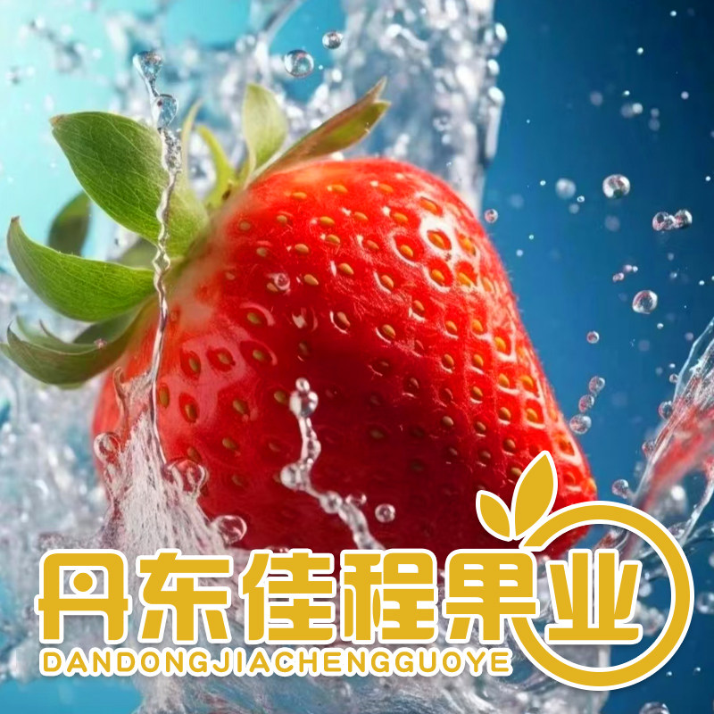 丹东佳程果业