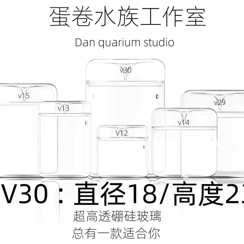 男生女生情人节必备：植物微景观迷你露集杯，创意生日礼物新选择！
