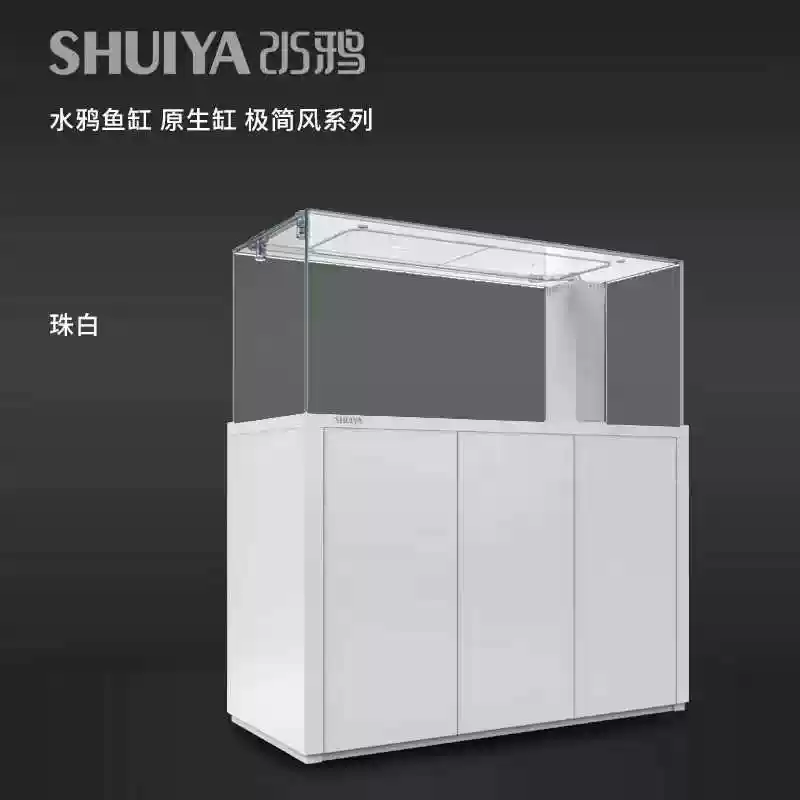 水鸦鱼缸野采溪流缸南美原生缸鱼缸客厅大型底滤缸七彩生态龙鱼缸 detail 1