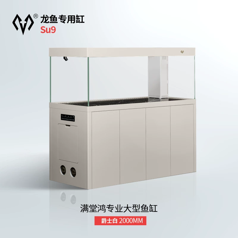 满堂鸿SU9极简不锈钢大型金晶超白鱼缸高分子PVC过滤混养水族缸 detail 6