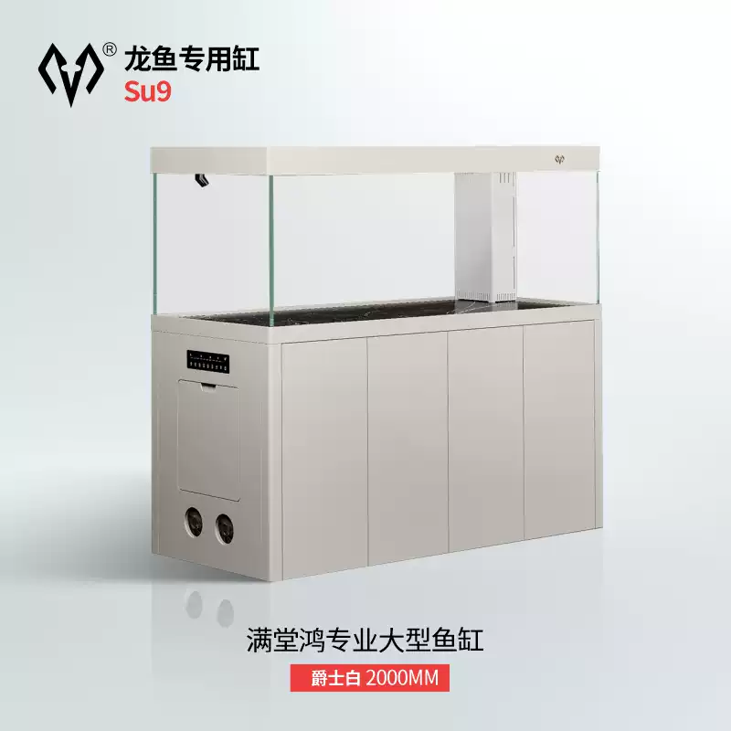 满堂鸿SU9极简不锈钢大型金晶超白鱼缸高分子PVC过滤混养水族缸 detail 1