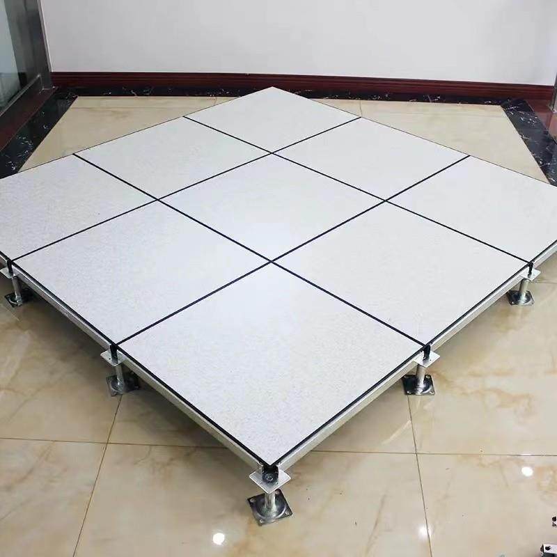All-Steel Anti-Static Floor School Special Rack Empty Movable Floor 600 Clean Workshop Adjustable Electrostatic Floor