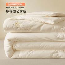 Xinjiang cotton quilt spring autumn quilt winter quilt student dormitory mattress quilt core thickened warm summer cool air-conditioned quilt