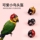 Шлем попугая в форме домашнего животного, шляпа в форме голубя, курицы, головы птицы, защитный чехол, мотоциклетная шляпа с изображением кенгуру, головной убор в виде утки mini 0