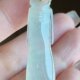 Burmese jade inlaid gold jade pendant natural jade A goods