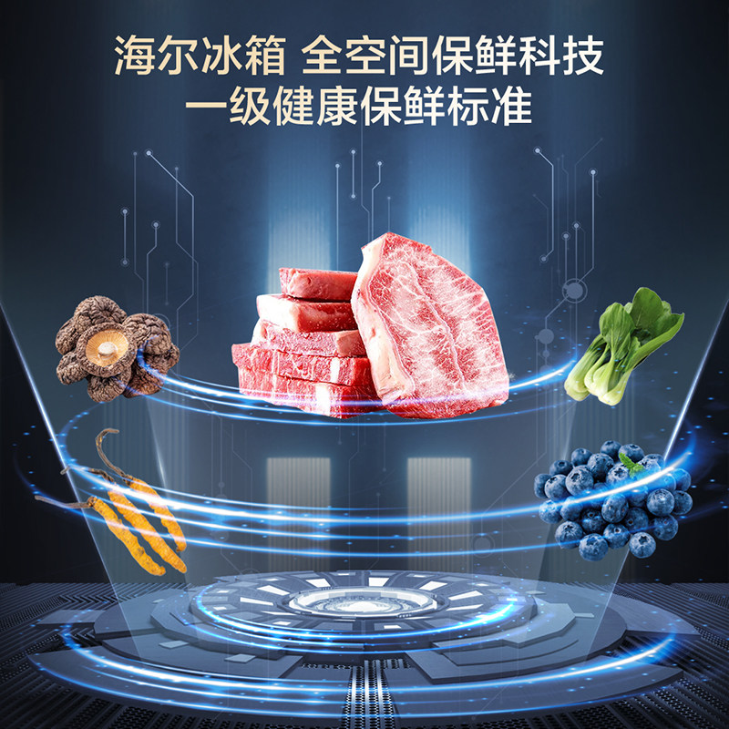 海尔BCD-503WGHFD14GYU1冰箱图片