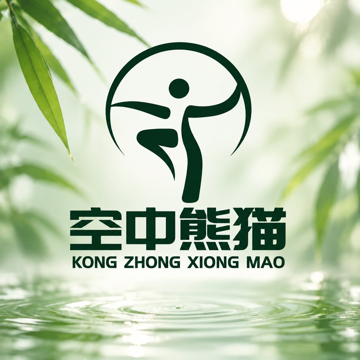 空中熊猫运动旗舰店