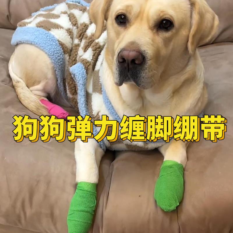 狗狗弹力绷带自粘不掉比熊外出鞋子大型犬防脏缠脚鞋防水泰迪狗鞋