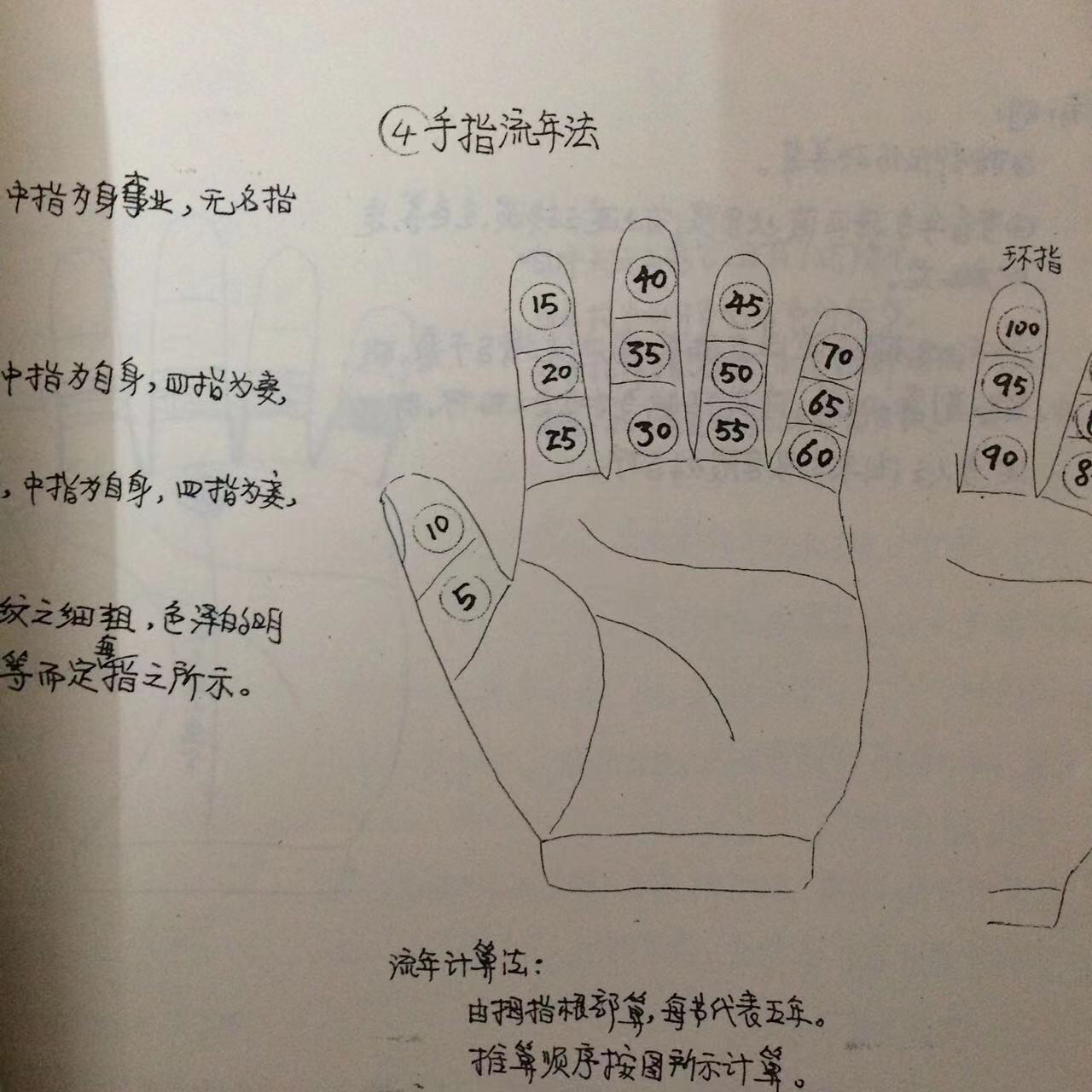 陈鼎龙著手纹学大本包邮：读懂掌纹密码，解锁人生运势？-书写纸-淘宝百科网
