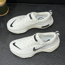 (Strictly selected good products) Ready stock shipped quickly) Counter supports identification) Pet walking shoes DR2660-102