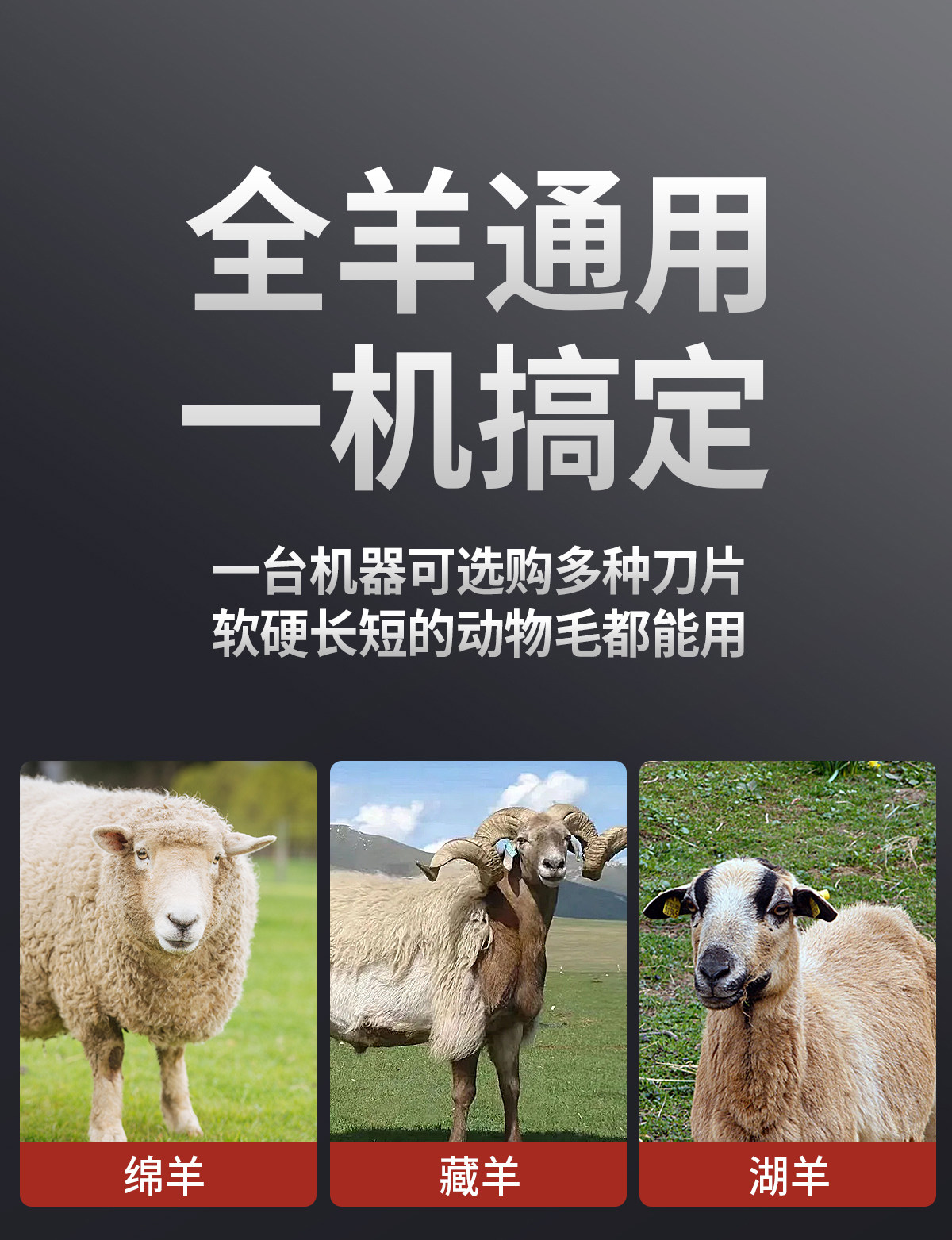 Ножницы 电动羊毛剪专用给绵羊剃毛的剪子脏羊剪毛机剃毛神器大功率电推子