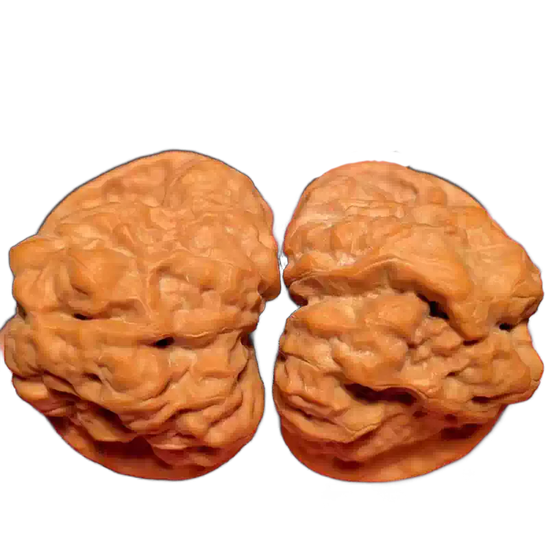 曹大龙核桃文玩精品手盘玩高端小众冷门罕见天然野生收藏级古玩男