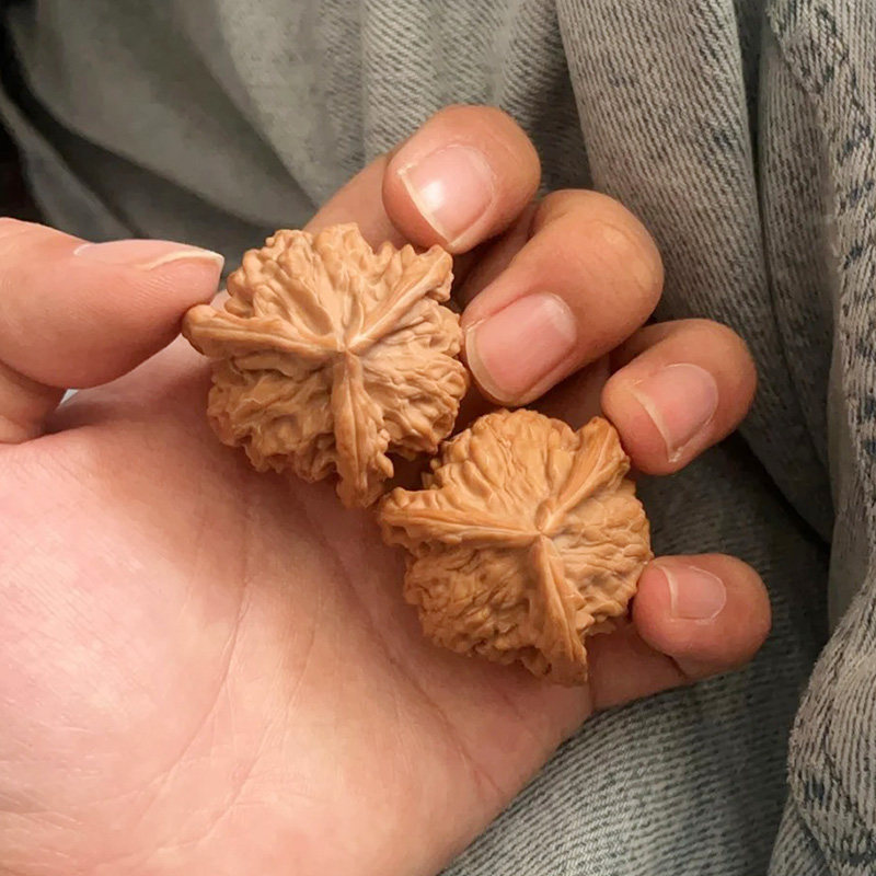 25年必買！三棱文玩核桃盤山正奔菱｜收藏級異形手把件男款天然野生