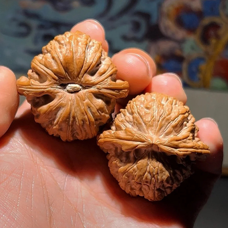 山中玉【白狮子】文玩核桃：收藏级精品，小手捻的奢华享受！-小众木作