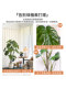 Monstera Artificial Green Plant High-End Light Luxury Living Room Office Bionic Plant Potted Floor-Standing Ornament Decorative Fake Tree