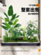Simulated Landscaping Green Plant Combination for Under-Stairway Malls, Tropical Artificial Plant Landscape, Indoor Landscape, Window Display Decorations