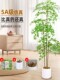 Simulated Green Plant Nandina Bamboo Floor-Standing Potted Plant Living Room Decoration Indoor Artificial Plant High-Quality Bonsai Decoration Artificial Tree