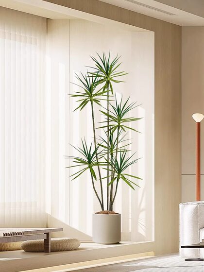 Light Luxury Artificial Green Plants, Fake Plants, Artificial Flowers, Millennium Wood Indoor Potted Plants, Dragon Blood Tree, Living Room Decorative Ornaments, Floor-Standing