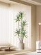 Light Luxury Artificial Green Plants, Fake Plants, Artificial Flowers, Millennium Wood Indoor Potted Plants, Dragon Blood Tree, Living Room Decorative Ornaments, Floor-Standing