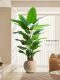 Bird of Paradise Artificial Plant Fake Flower Decoration Indoor Living Room Decoration Ornaments High-End Artificial Flowers