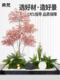 Artificial Plant Landscaping, Indoor Decoration under Stairs, Fake Flower Trees, Stone Decorations, and Artificial Green Plant Landscaping Combinations