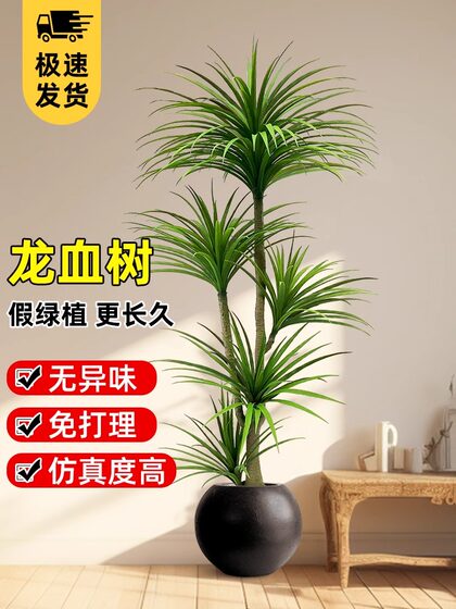 Simulated Plant Dragon Blood Tree Interior Decoration Classy Accessible Luxury Plant Potted High Quality Imitation Green Plant Floor-Standing Tree
