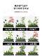 Simulated Green Plant Landscaping Combination for Window Decoration, Artificial Plant Landscape for Office, Restaurant, and Green Plant Decoration under Stairs