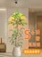 Simulated Monkey-Eared Plant for Living Room, High-End Artificial Plant, Indoor Simulated Potted Plant, Large Floor-Standing Decorative Piece for Landscape Decoration