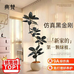 Artificial Green Plant Landscaping Rubber Tree, High-End Luxury Living Room Tv Cabinet Floor Decoration, Indoor Black Diamond Plant