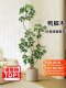 Artificial Dracaena Plant for Indoor Living Room, High-End Luxury Faux Plant Decoration, Large Floor-Standing Potted Ornament, Fake Tree