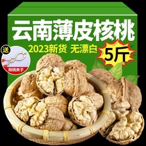 2023 paper-skinned Yunnan walnuts new arrival fresh thin-skinned thin-shell walnuts paper-skinned walnuts spade nuts snacks for pregnant women