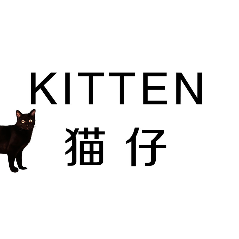 猫仔Kitten