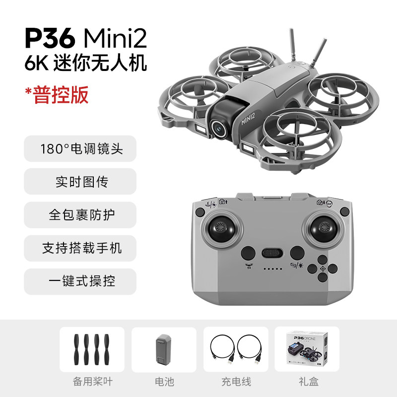Квадрокоптер Lingke Technology P36 Mini 2 обычный пульт, 1 аккумулятор