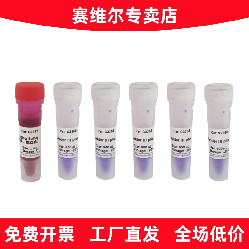 赛维尔 G3368-05 GN100bp DNA Ladder III plus