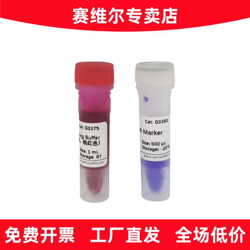 赛维尔 G3363-01 GN10K DNA Marker