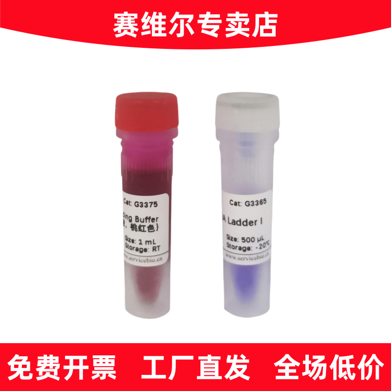 赛维尔 G3365-01 GN100bp DNA Ladder I