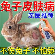 Rabbit skin disease ringworm fungal infection hair loss foot dermatitis ear hair loss special spray for removing lice and mites