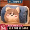 Rechargeable Hot Water Bottle, Explosion-Proof Electric Hand Warmer, Plush Cute Hot Water Bag for Girls, Warm Bed and Hand Warmer