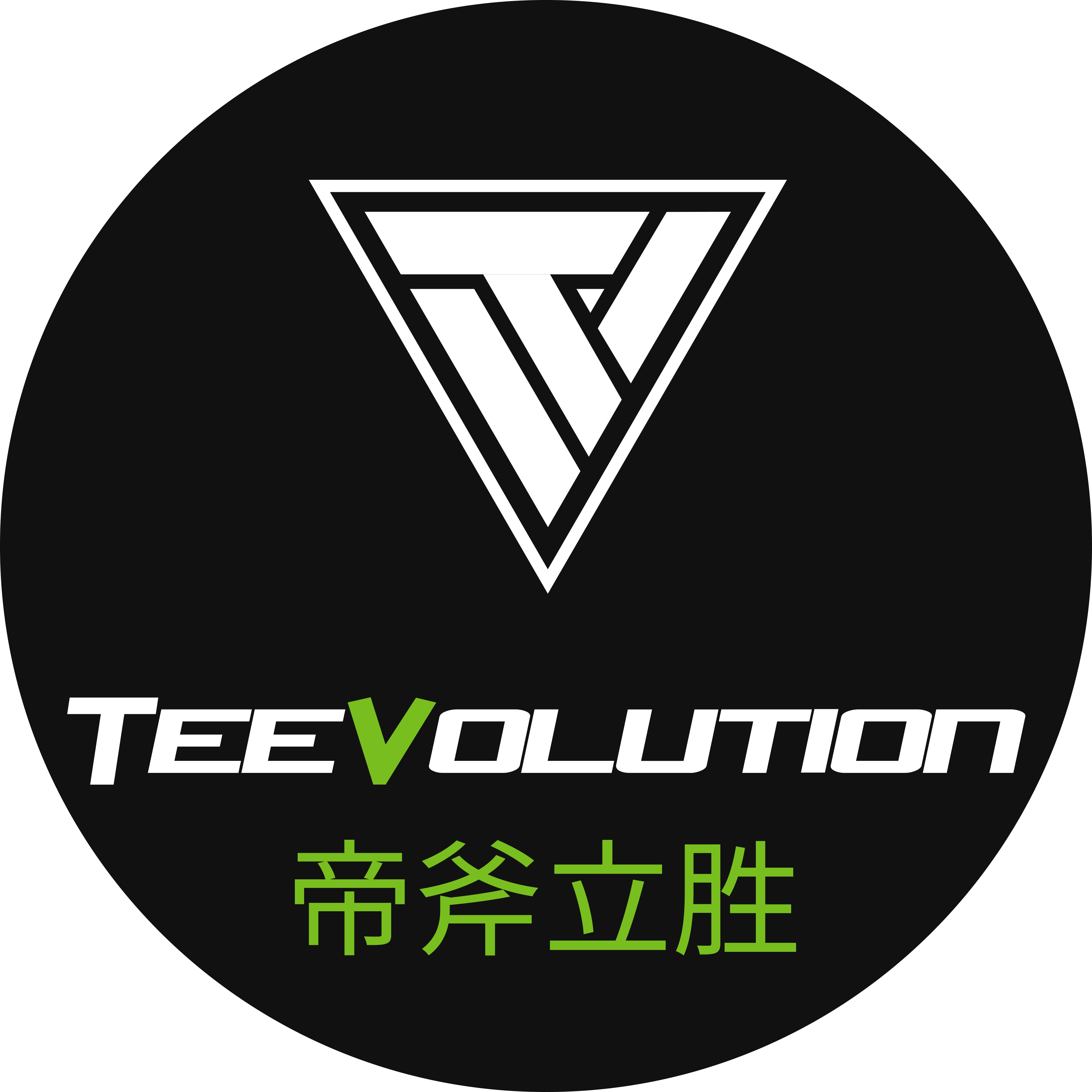 TEEVOLUTION帝斧立胜