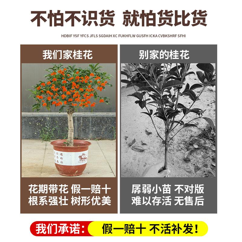 康复护理学的传承与革新——赵桂花《<strong>二手康复护理学</strong>》