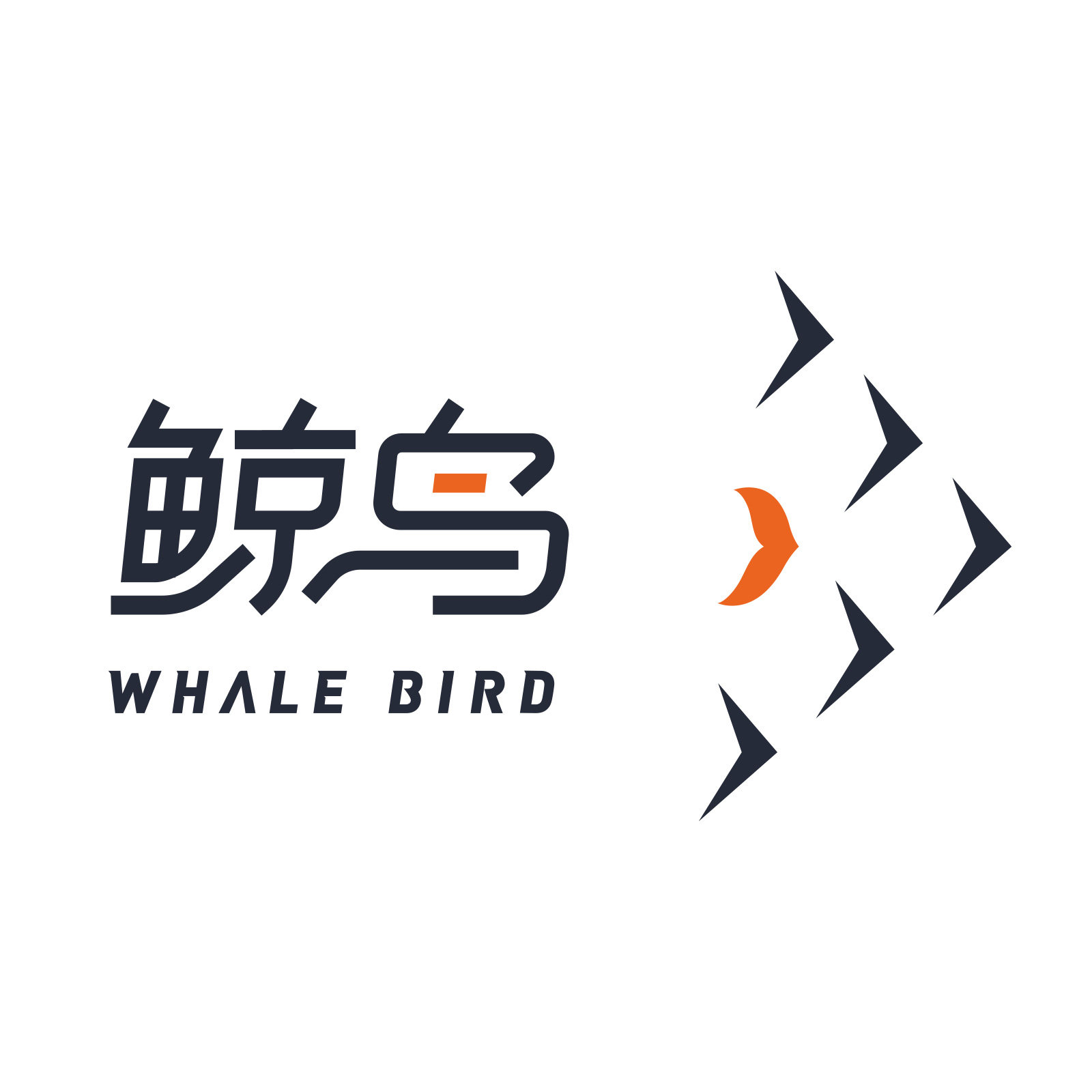 WHALEBIRD集运旗舰店